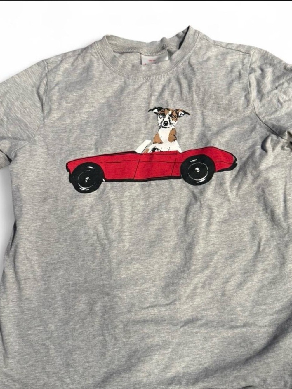 Hanna Andersson Gray Tee with Red Car and Dog Graphic
